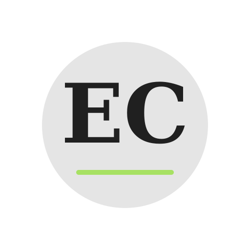 Ethan Chimney Services logo